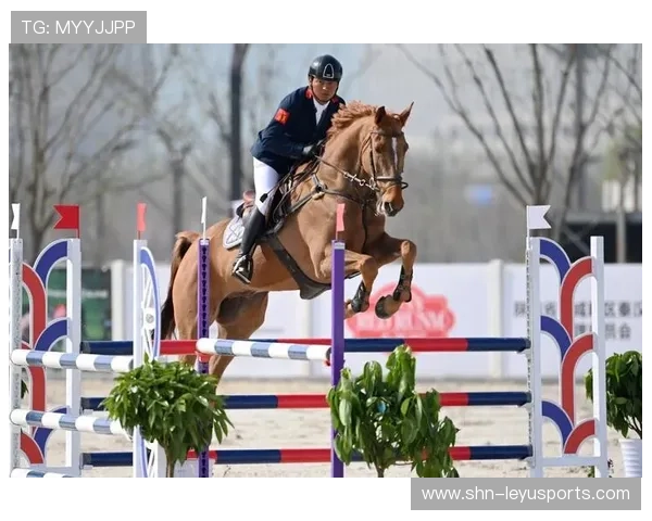 瑞士青少年马术选手在2024年全国青少年马术锦标赛中表现出色，获得多项荣誉。