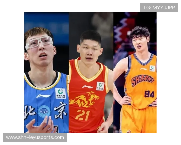 周琦与王哲林状态对比：谁还是CBA本土第一中锋？，周琦和王哲林谁厉害