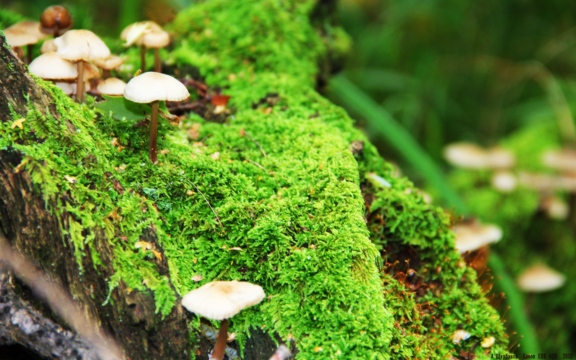 CBA联赛赞助商数量创新高 行业关注度上升,cba各大赞助商赞助金额