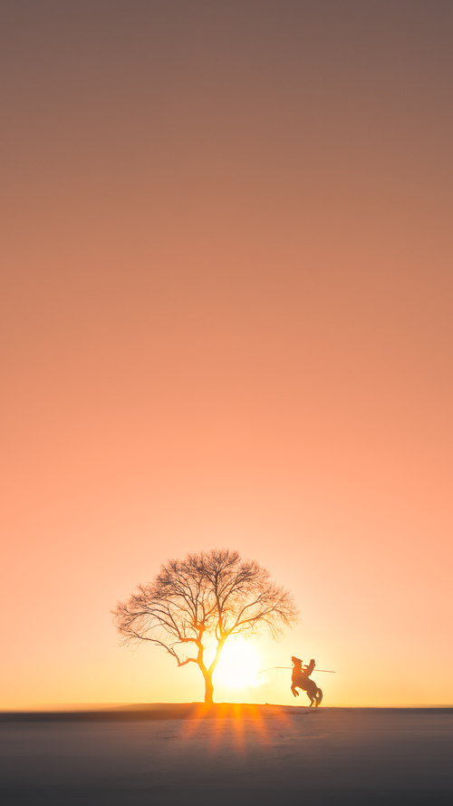 东亚杯中国足球惨败 战术安排值得反思,东亚杯中国夺冠