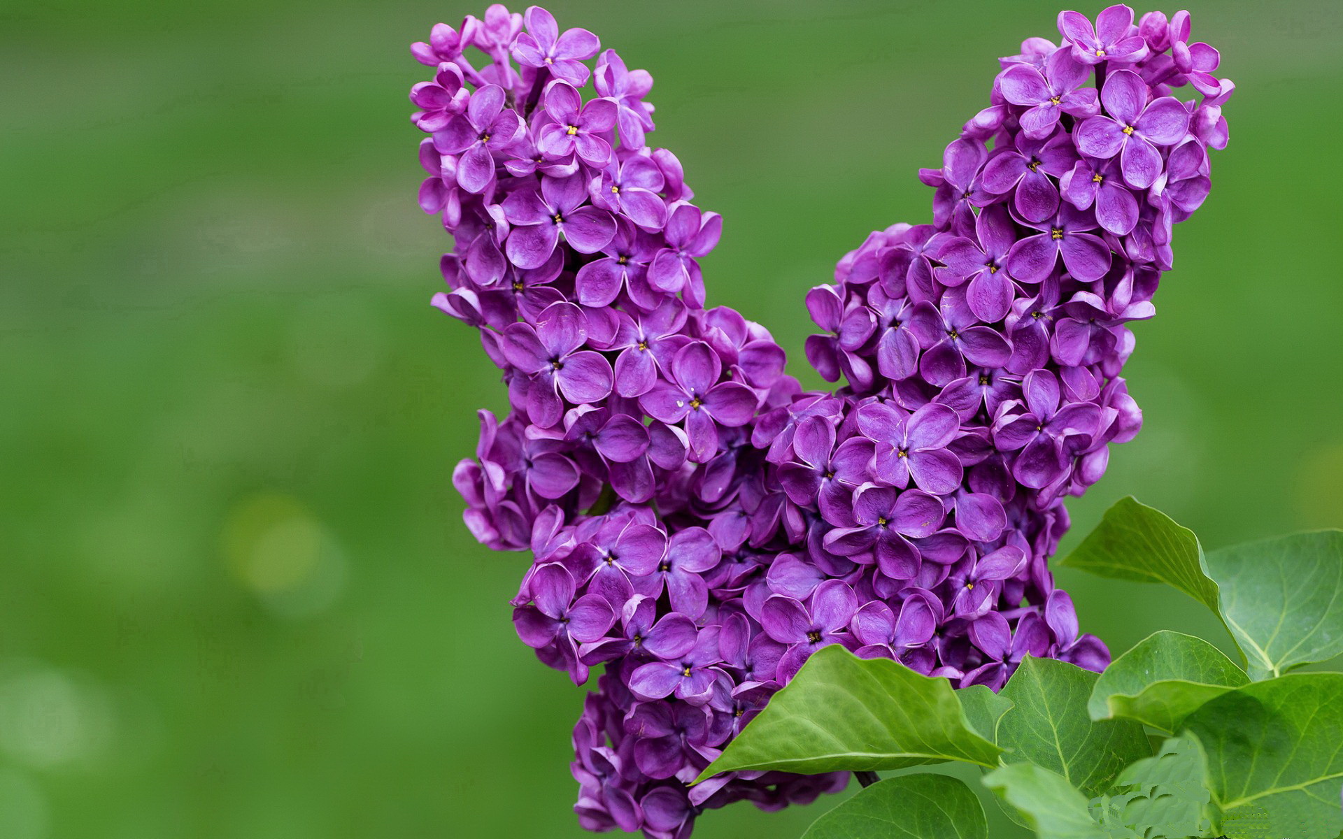 乐鱼体育入口-中国三人篮球男队提高整体战术执行力，中国男子三人篮球队