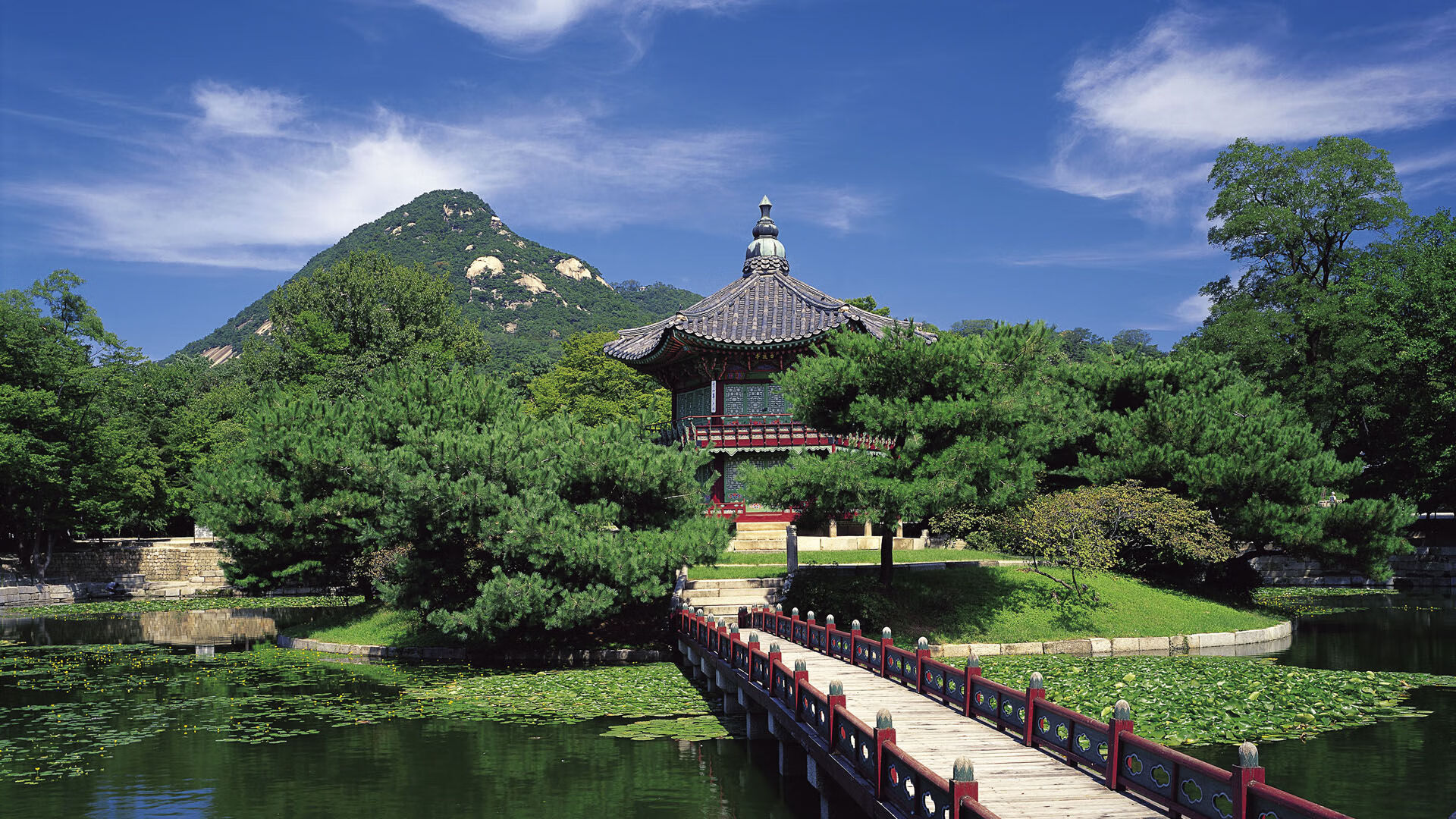 中国女篮模拟实战提升临场应变能力,我要中国女篮