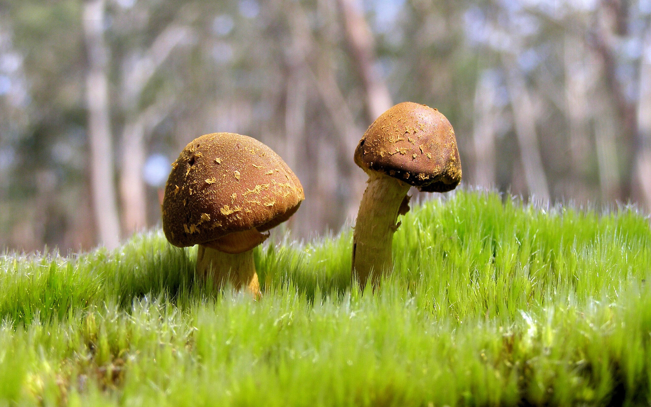 举重世青赛中国女队整体发挥稳定，中国队女子举重冠军