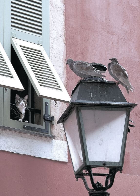 五大联赛关键传球统计是否能客观评估球员创造力，传球排名