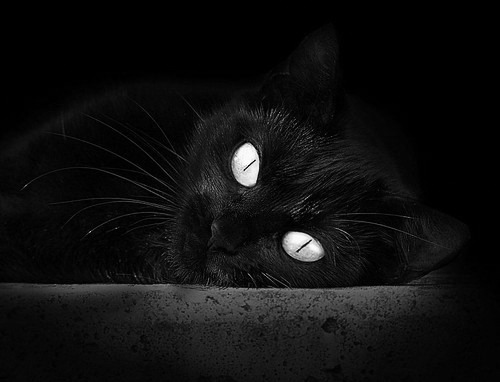 自由泳200米中段控速数据揭秘,200米自由泳速度