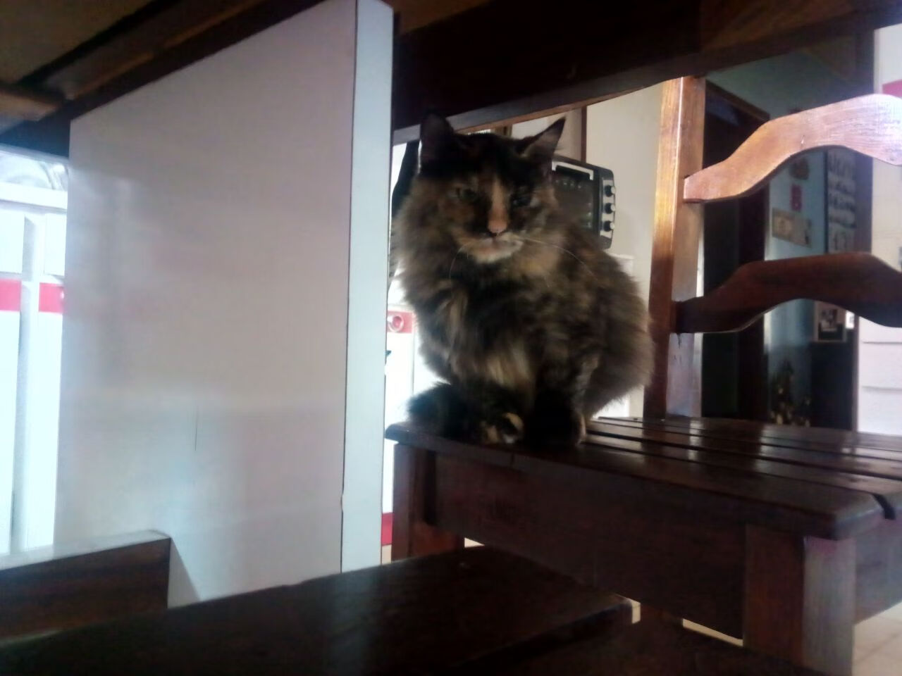 丁俊晖晒与偶像合影回忆青葱岁月，丁俊晖合照