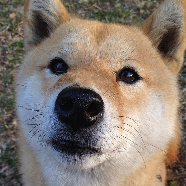 中甲联赛转会窗口更加理性关注球员战术适配度,中甲转会窗口什么时候关闭