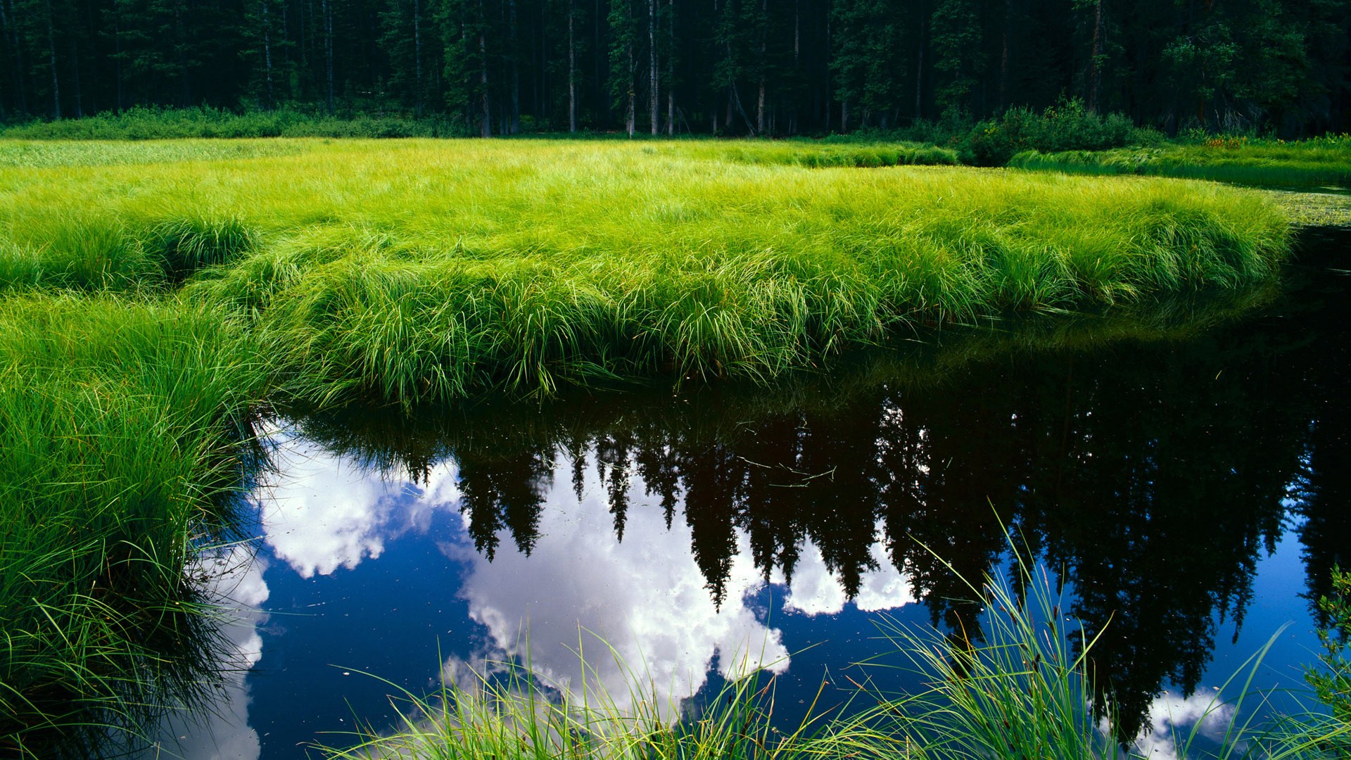 乐鱼体育在线-国家队采用科学康复计划缩短球员恢复周期，国家队康复训练