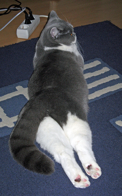 多名年轻球员获得首发机会表现不俗展现未来发展空间,有潜力的年轻球员