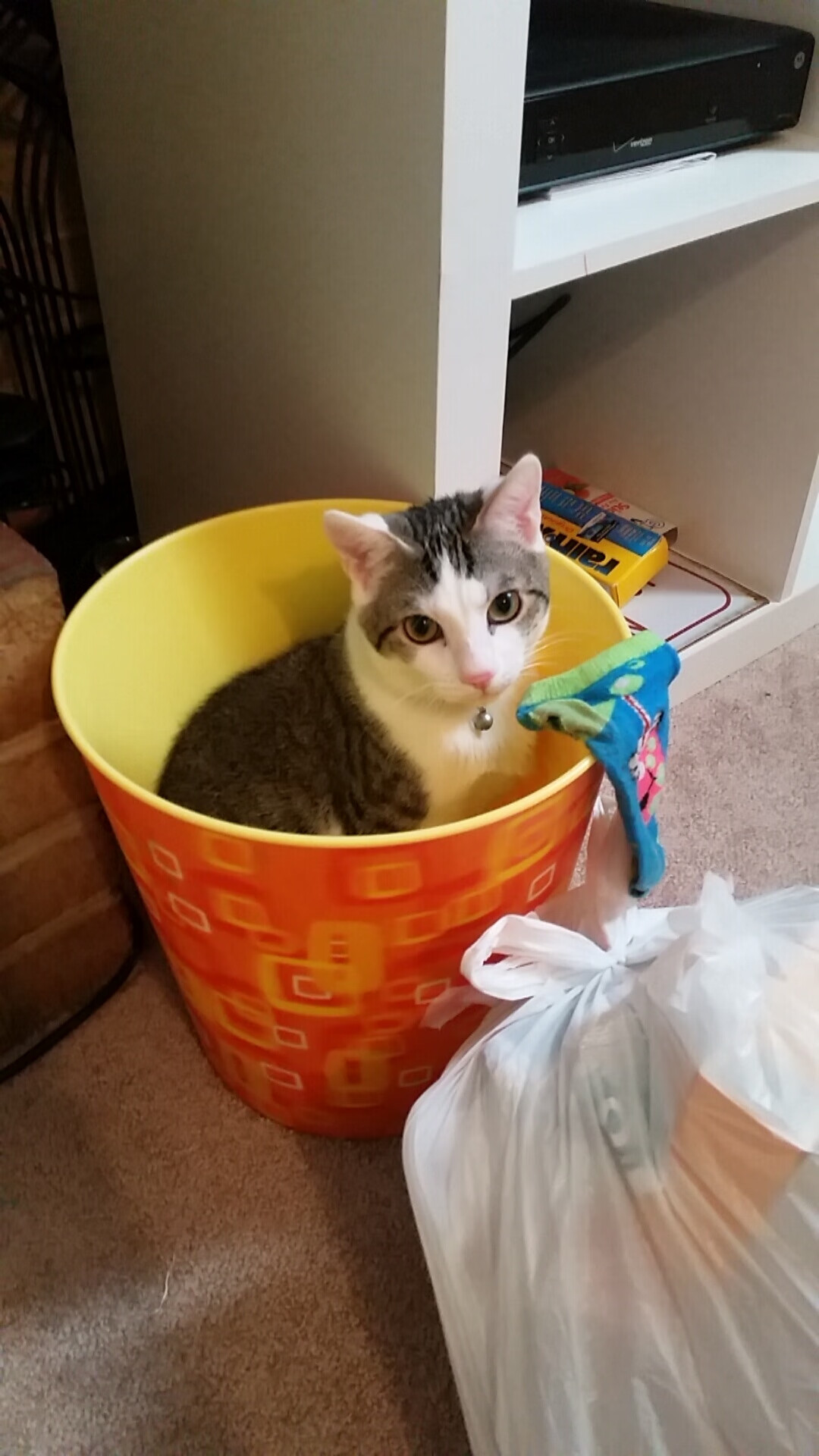 乐鱼体育app网址-覃海洋稳扎稳打掌控全场节奏，覃海洋百科